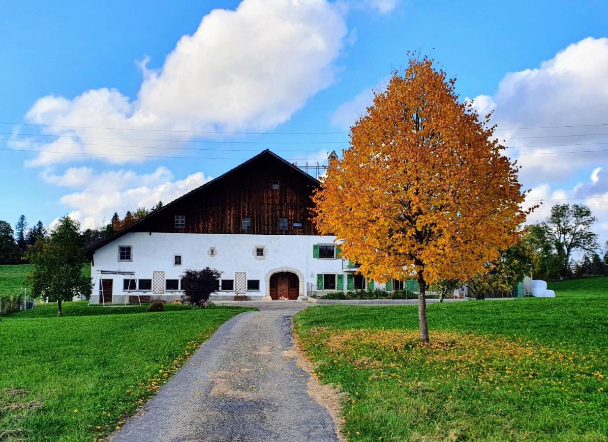 O Valanvron - Appartement Dans Une Ancienne Ferme Neuchateloise La Chaux De Fonds ภายนอก รูปภาพ